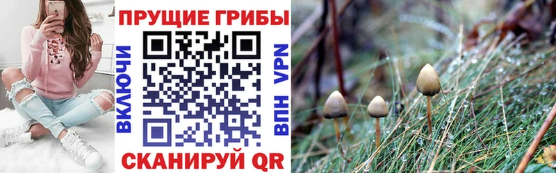 Псилоцибиновые грибы мухоморы  Слюдянка 