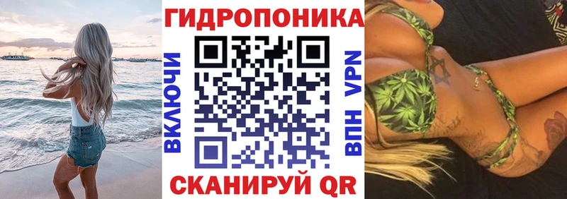 Конопля семена  даркнет какой сайт  Слюдянка  кракен ONION 